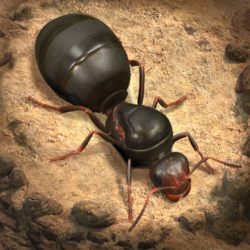 The Ants Underground
